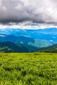 风景如画的喀尔巴阡山景观，夏季从