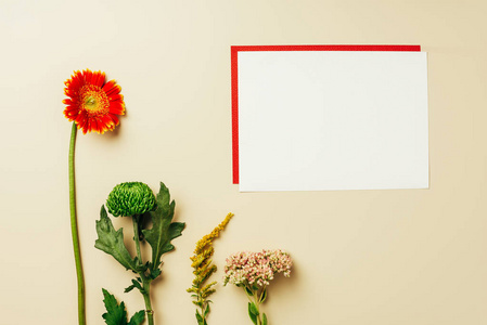 平躺与安排红色和白色空白卡片和美丽的花在米色背景