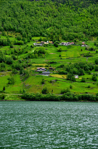 Sognefjord 峡湾通过著名的火焰镇著名的风景和它的旅游火车