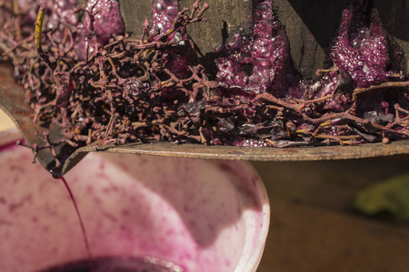 酿酒。葡萄酒生产技术。酿酒的民间传统。摩尔多瓦的葡萄酒生产。古代葡萄加工传统。挤压是用来压酒的。