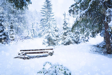 美丽的雪森林背景