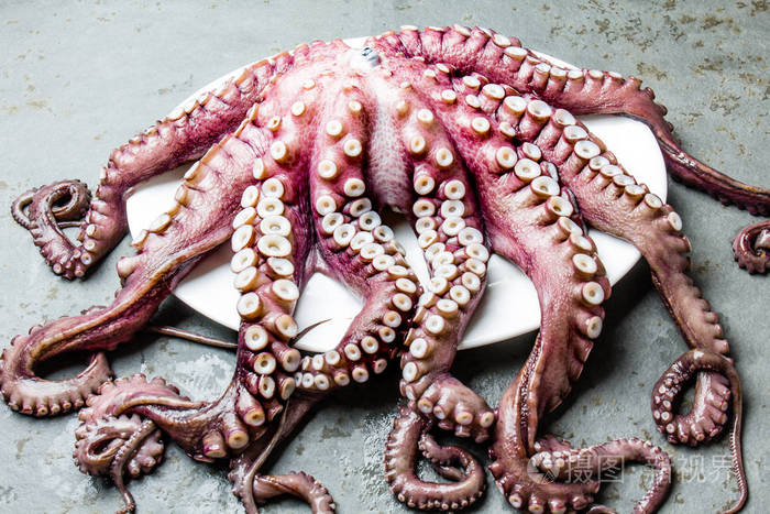 海鲜章鱼.全新鲜生章鱼灰色石板背景, 顶部视图