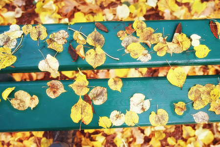 秋季公园景观长凳10月风景黄色公园, 秋季背景