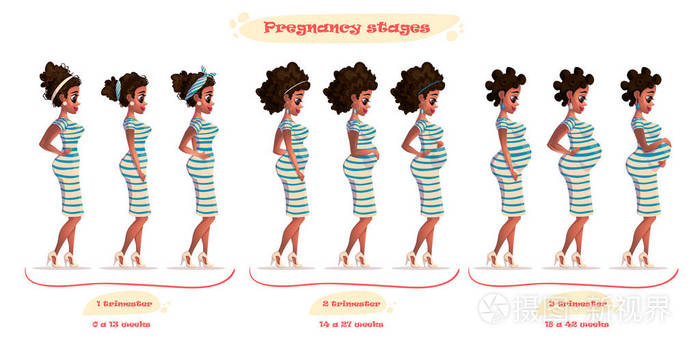 怀孕时女人身体的变化.怀孕阶段, 晚期和怀孕