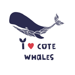 我喜欢鲸鱼。 引用。 手绘矢量插图，字母