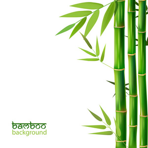 抽象背景与竹子的向量例证