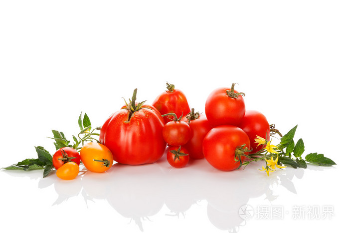 白色背景上的各种番茄