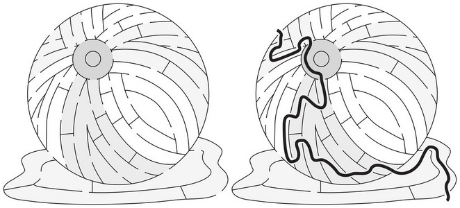 迷宫球图片-迷宫球素材-迷宫球插画-摄图新视界