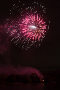 美丽的夜景和璀璨的烟花在天空中