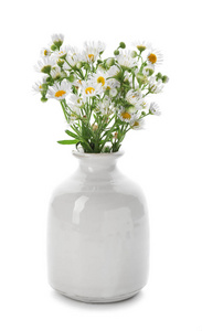 白色背景美丽的甘菊花花瓶