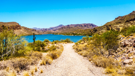 峡谷湖和沙漠景观的 Tonto 国家森林