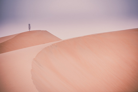 利瓦沙漠沙丘