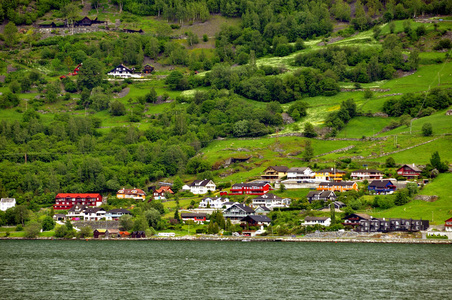 Sognefjord 峡湾通过著名的火焰镇著名的风景和它的旅游火车