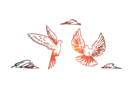 自由, 和平, 情侣, 飞行, 鸟类概念。手绘隔离矢量