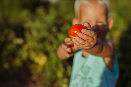 小孩抱着小红西红柿