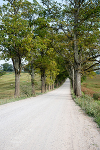 国家道路景观图片