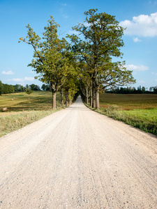 国家道路景观