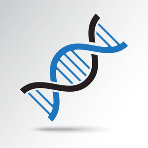 带有阴影的 Dna 图标。黑色和蓝色的颜色。矢量插图