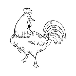 鸡图片素描图片