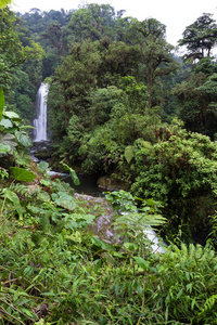 哥斯达黎加的瀑布