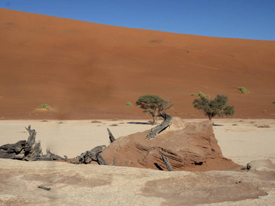 纳米比亚Sossusvlei的神奇沙丘