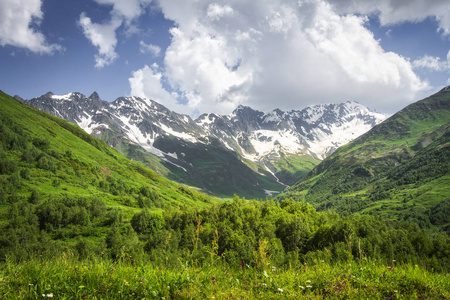 山风景。落基山脉上有白雪皑皑的山峰, 绿色的山丘覆盖着高山上的草地, 阳光明媚, 天空蔚蓝, 乌云密布。上斯瓦涅季亚山风景在佐治