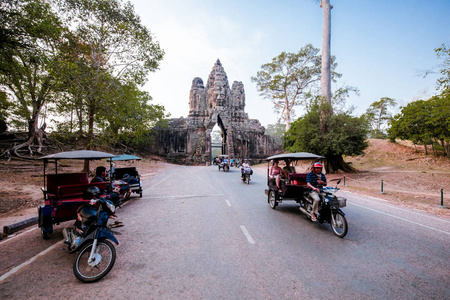 柬埔寨一座古老的寺庙, 满是计划和树木的生长