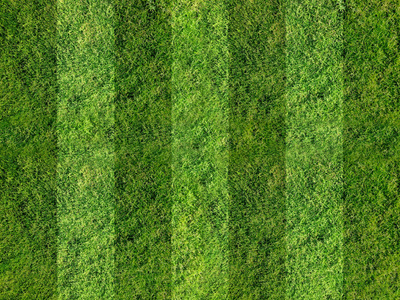 足球或足球运动中的鲜绿草模式