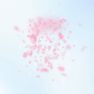 樱花花瓣落下。浪漫的粉红色花朵爆炸。蓝天上的 backgr 广场上的飞翔花瓣