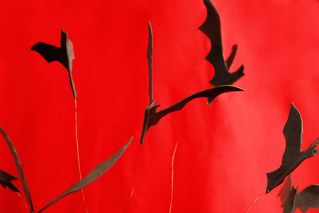 红色背景下的装饰蝙蝠照片图片