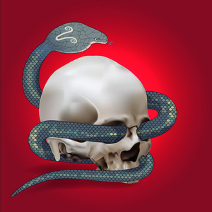 魔兽世界巫妖王副本黑色背景上的croba蛇骨特写镜头牛头骨.