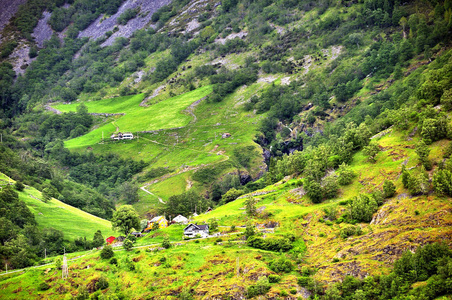 Sognefjord 峡湾通过著名的火焰镇著名的风景和它的旅游火车