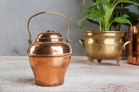 老式铜罐头和绿色植物在黄铜和铜古董花盆在具体背景。复制文本空间