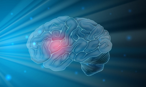 人类的大脑与蓝色背景
