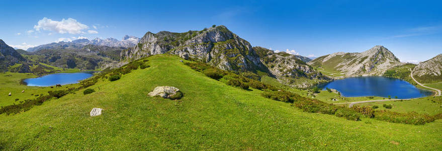 西班牙阿斯图里亚斯 Picos 烯醇式和 Ercina 湖全景