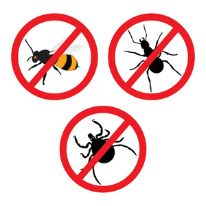 禁止白蚁昆虫的禁止标志照片