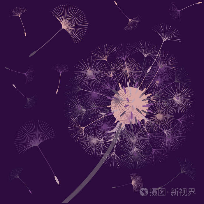 设计蒲公英的抽象背景