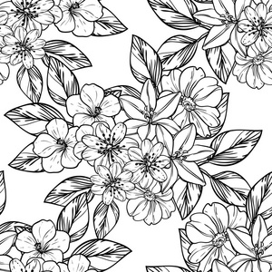 黑白相间的花元素插画