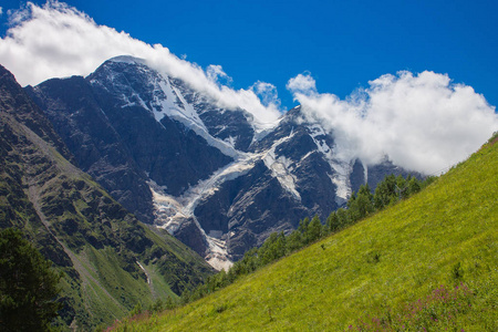 北部高加索的夏天山风景。白雪覆盖的山峰和绿草的前景