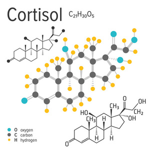 载体皮质醇分子的化学表达式
