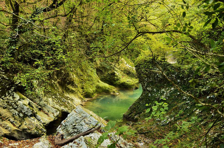 一条湍急的山脉在布满绿色苔藓的岩石中流动, 四周环绕着树木。