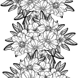 黑白相间的花元素插画