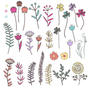 大收集与涂鸦花卉和草药与树叶。花组手绘矢量装饰元素为您设计。矢量插图