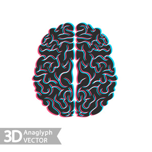 大脑的三维立体画像图片