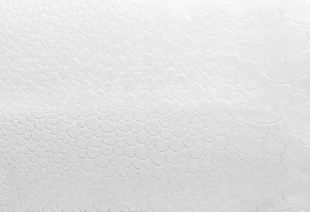 白色泡沫的网状细胞质地特写.带有气泡的抽象马赛克背景照片