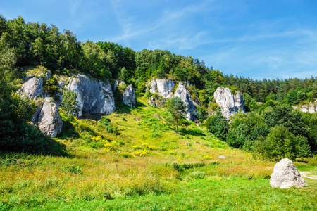 波兰 Bedkowska 山谷的夏季景观