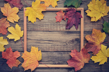 黄色, 橙色, 红色的秋天叶子在木质背景与拷贝 spase 的着色的框架