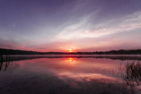 美丽, 粉红色的紫罗兰黎明在湖上。湖面上的雾气, 太阳的光芒, 浓雾, 黎明, 湖面上的蓝天, 清晨来, 森林在水中反射