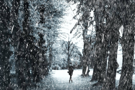 景观背景雨质地在10月的公园里, 走在恶劣的天气, 滴水, 刮风的天气