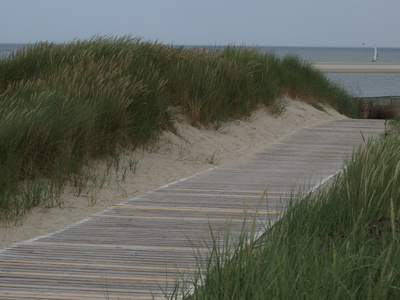 海滩上的 langeoog